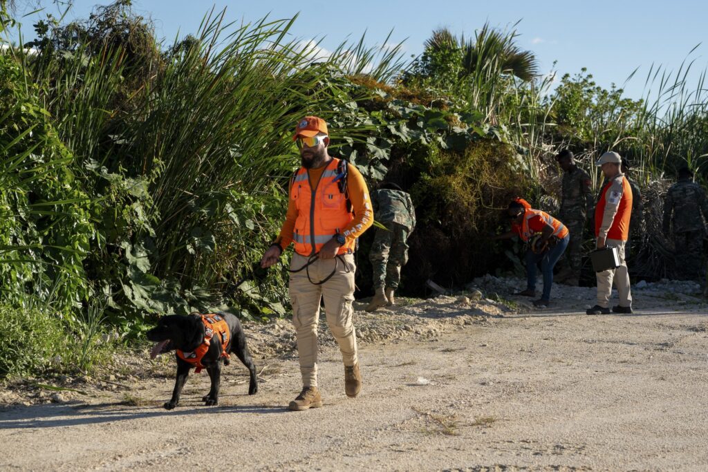 Officer conduct a search on the beach with a police dog