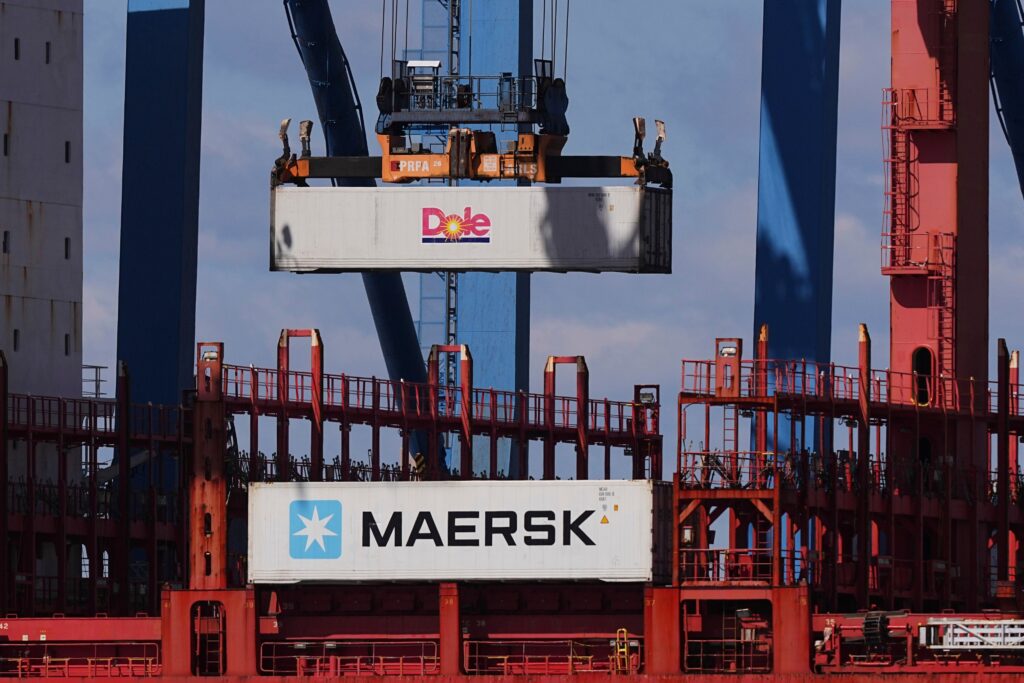 Cranes moving containers