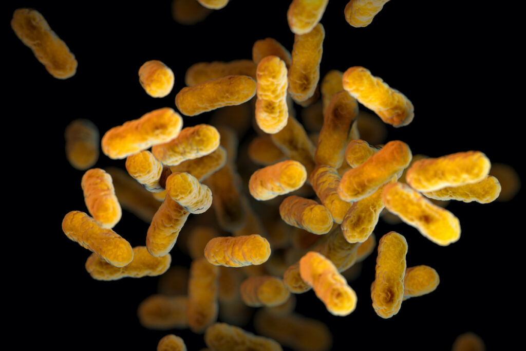 2016 CDC illustration of the Bordetella pertussis bacteria