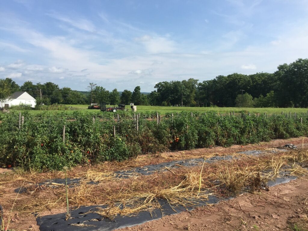 montgomery_county_farm_KC_120820_02 a large farm