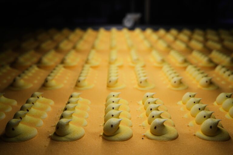 Peeps marshmallow treats move through the manufacturing process