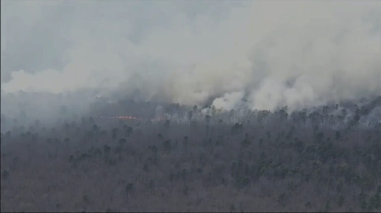 Smoke billows from a wildfire in a forest