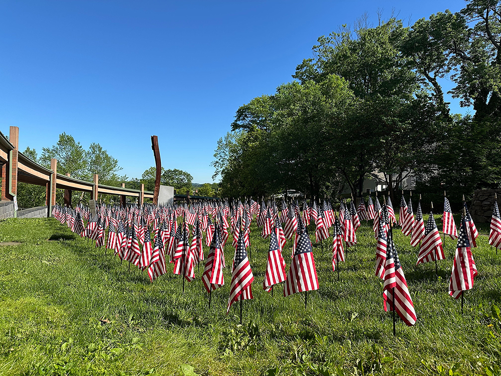 Flags ar eplanted in the ground as part of a veterans memorial