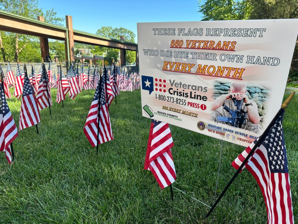 Flags sit planted in the ground as well as a sign for a military veterans memorial