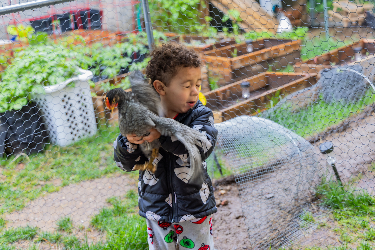 Nicholas holding excited chicken inside family’s coop