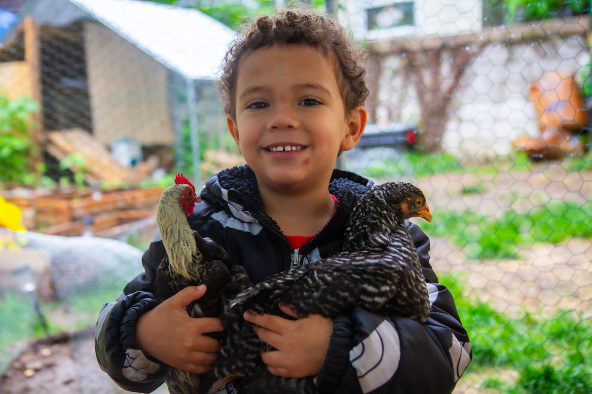Nicholas holding chickens inside family’s coop