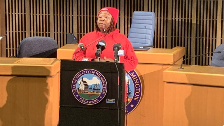 Wilmington community activist Jackie Kinard