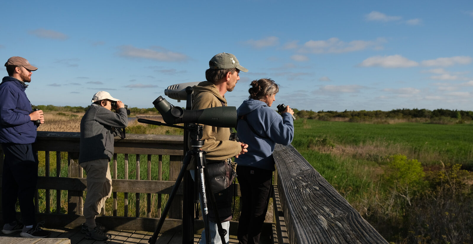 Four birders at the World Series of Birding look on from a deck