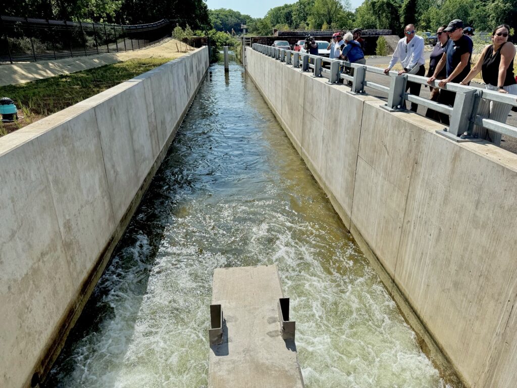 Water flowing through the canal