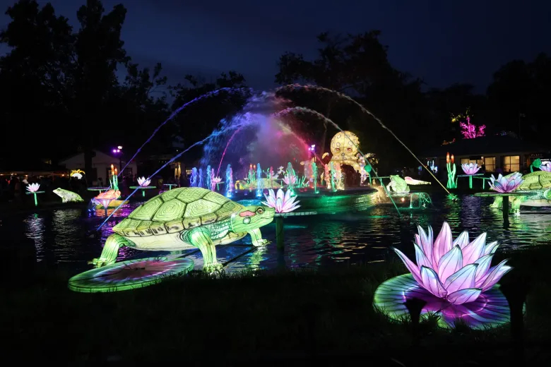 multiple illuminated sculptures at Franklin Square