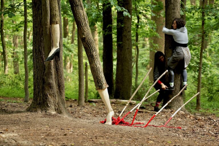 Dancers leap into the trees during dance practice