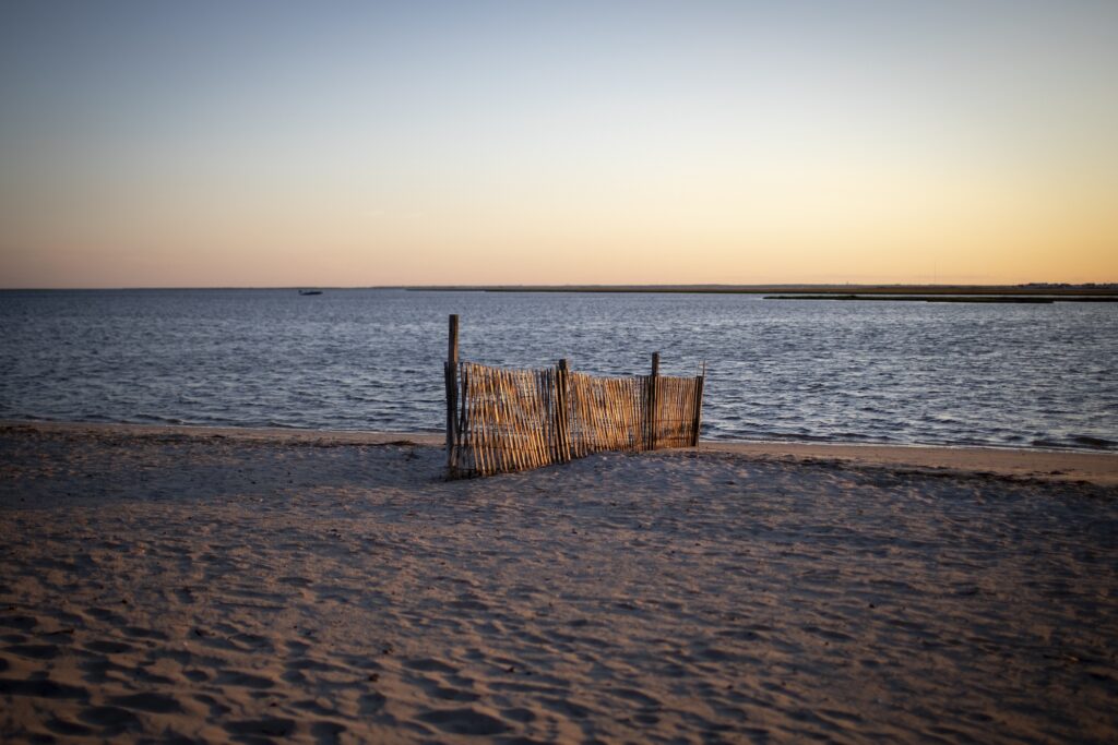 The beach at sunset