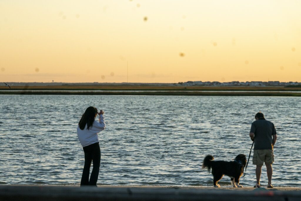 A couple on the beach with their dog at sunset