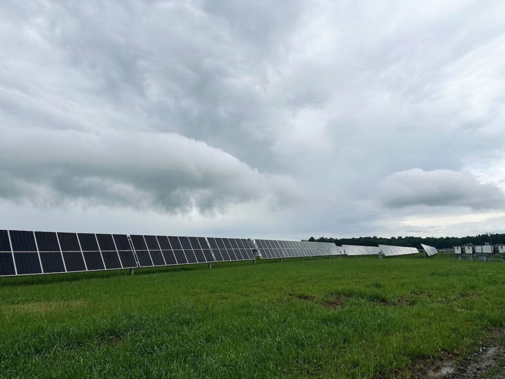 Solar panels along Trap Pond Road in Georgetown Delaware