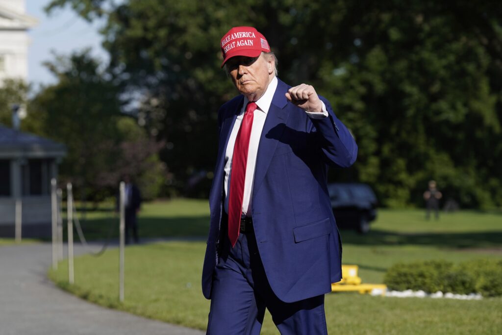 Donald Trump pumping his fist