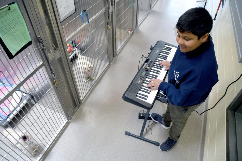 wild-tunes-animal-shelters-music-2025-2 Yuvi Agarwal plays the keyboard for dogs at the Denver Animal Shelter