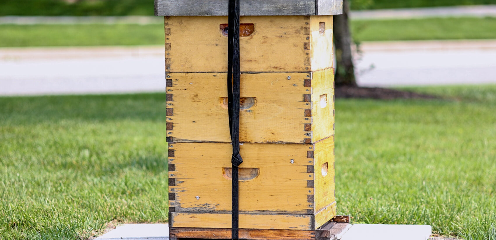 a pallet holding hives