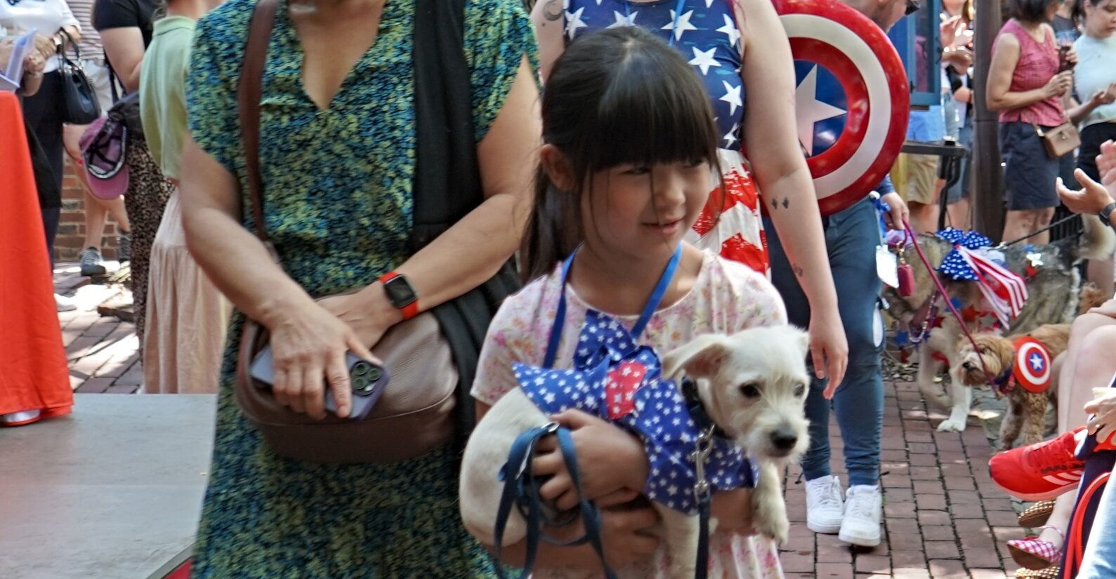 A girl holds a chihuahua mix