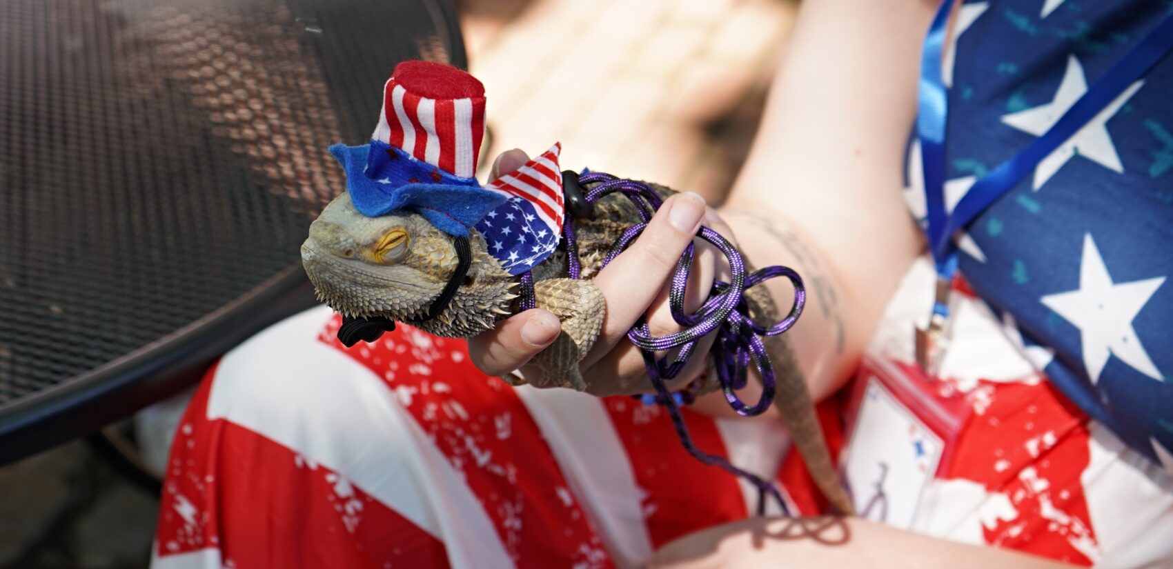 A person holds a bearded dragon