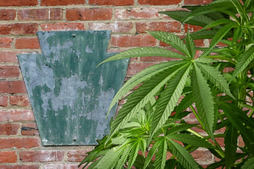 Legal recreational marijuana sales to begin in Delaware Friday. Now that New Jersey and Delaware have access, is Pennsylvania next?