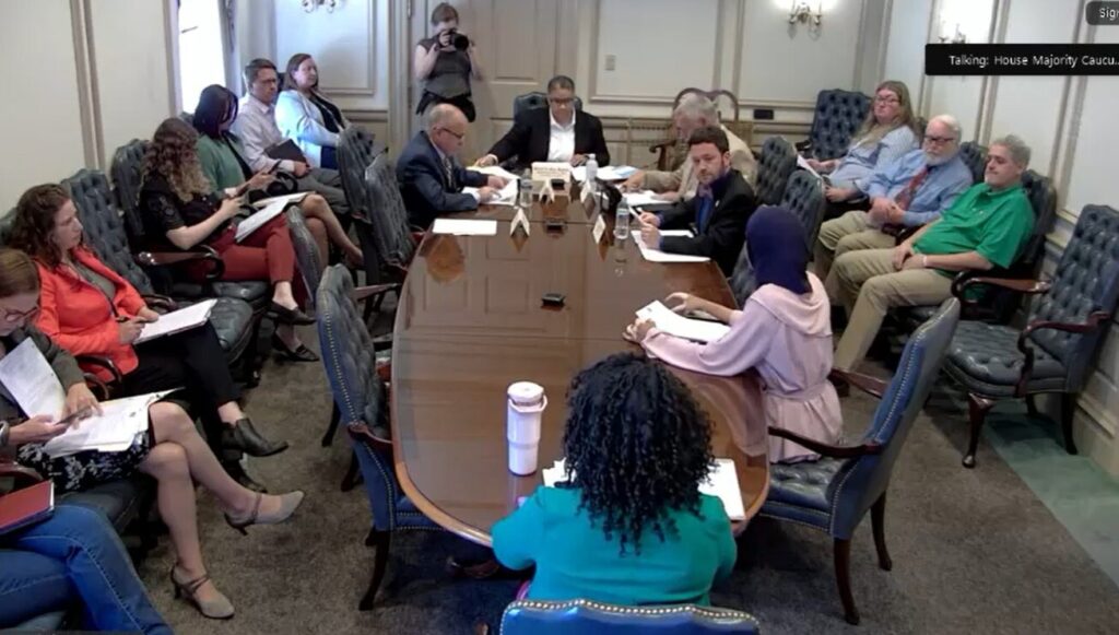 Delaware legislators sit around a roundtable during a House committee meeting