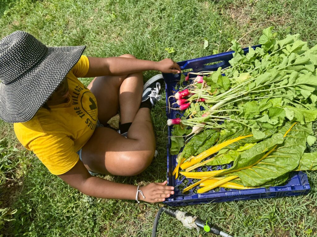 Philly Earth Farm & Orchard