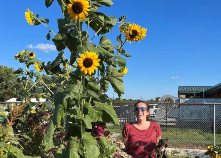 An educator looking at a sunflower