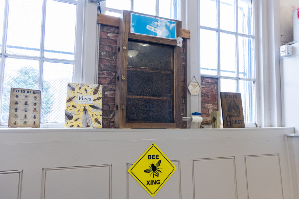The indoor beehive at the Richmond Library