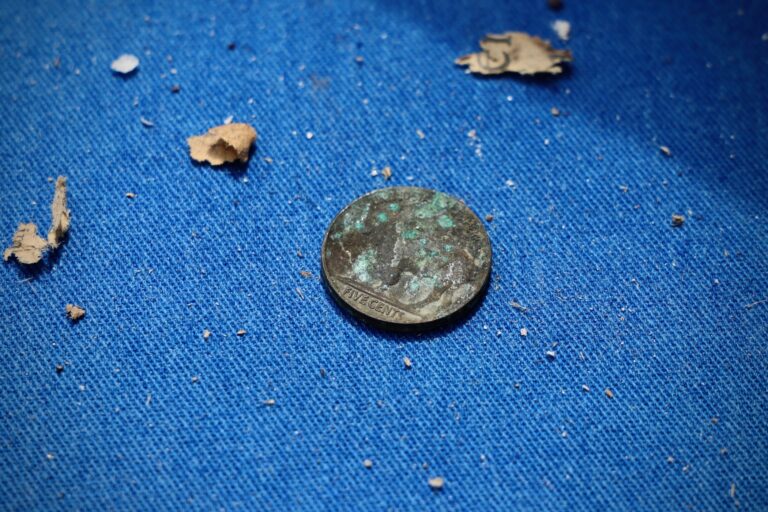 A closeup photo of a buffalo nickel on a blue background