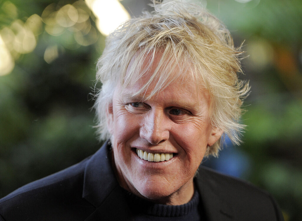 Actor Gary Busey