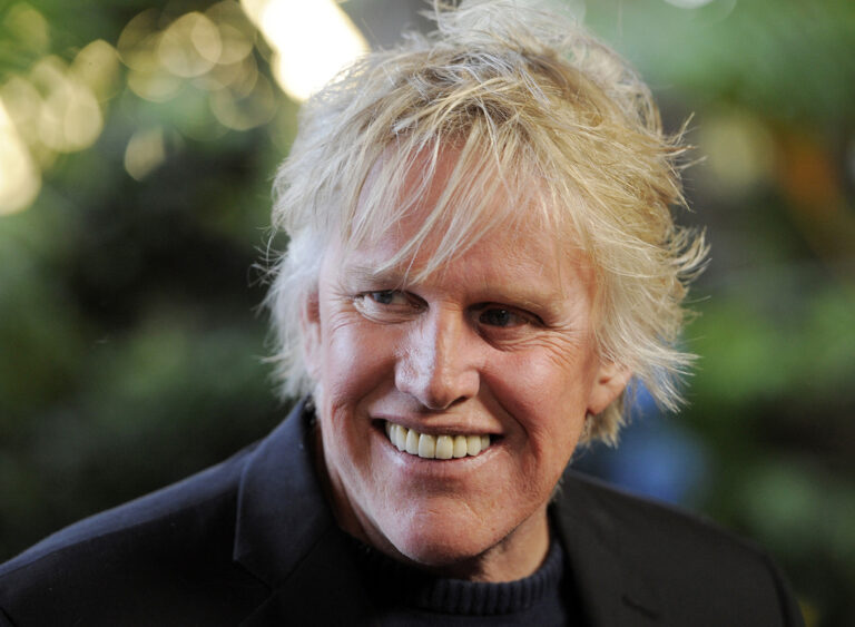 Actor Gary Busey