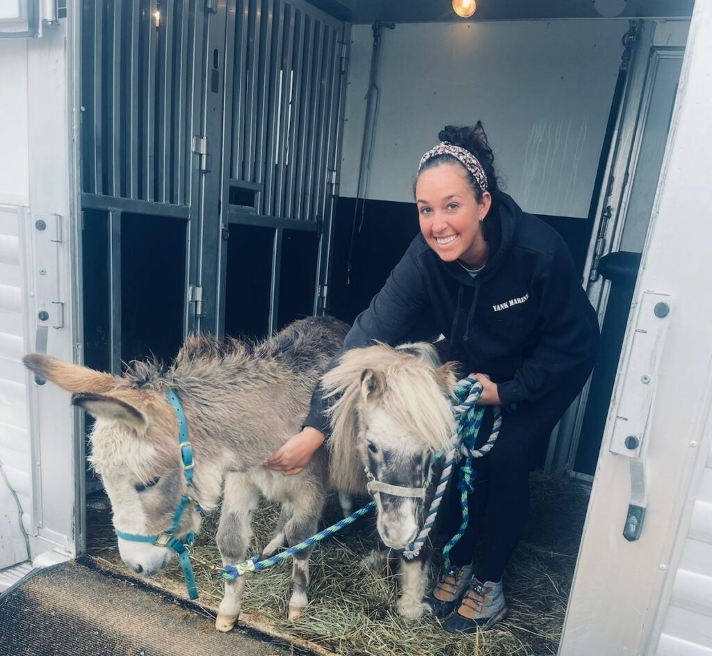Abby and two horses