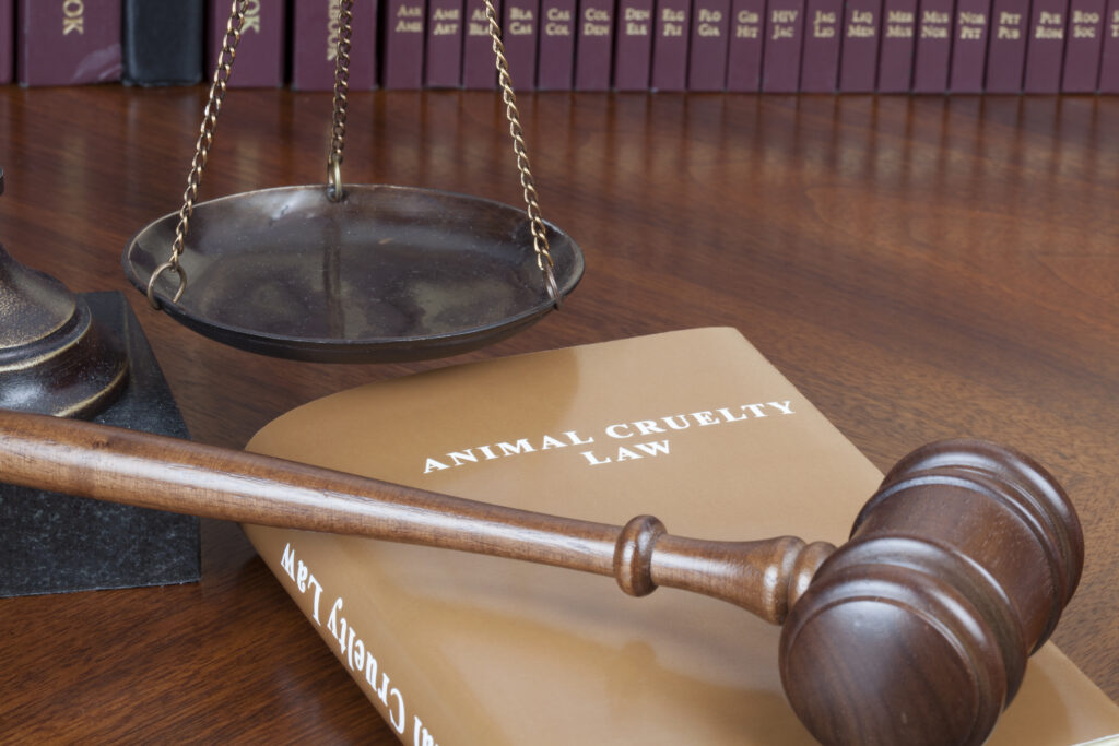 Animal cruelty and the scales of justice (Eric Harris)
