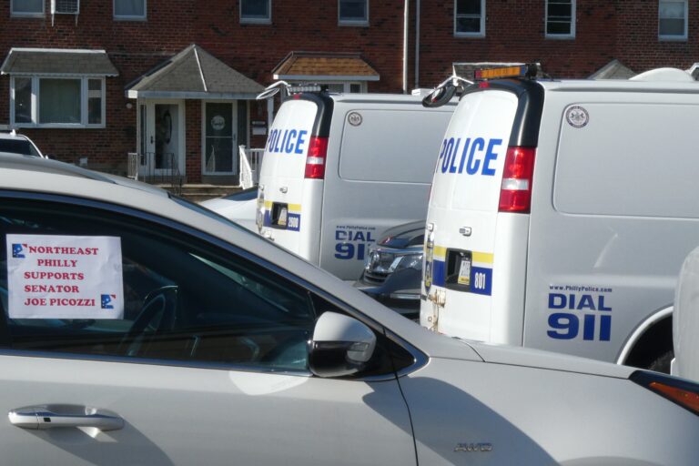 police vehicles at Picozzi's office