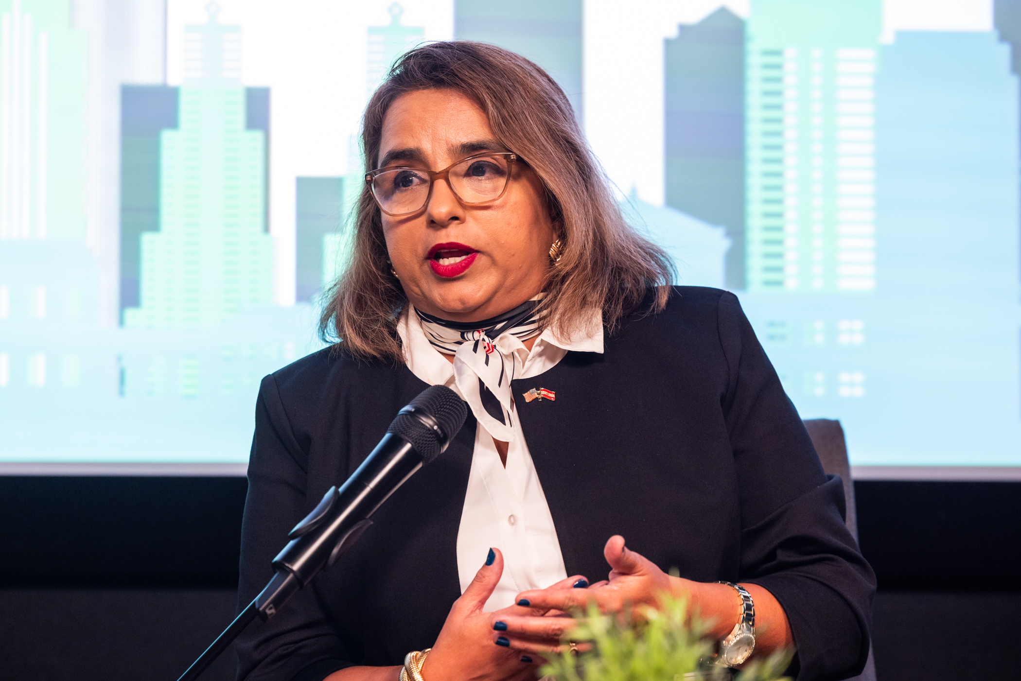 Nelly Jiménez-Arévalo speaking during the panel discussion