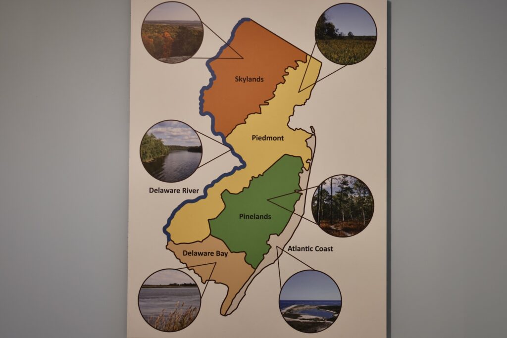 a detailed map on display