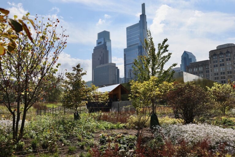 a view of Philadelphia from outside Calder Gardens