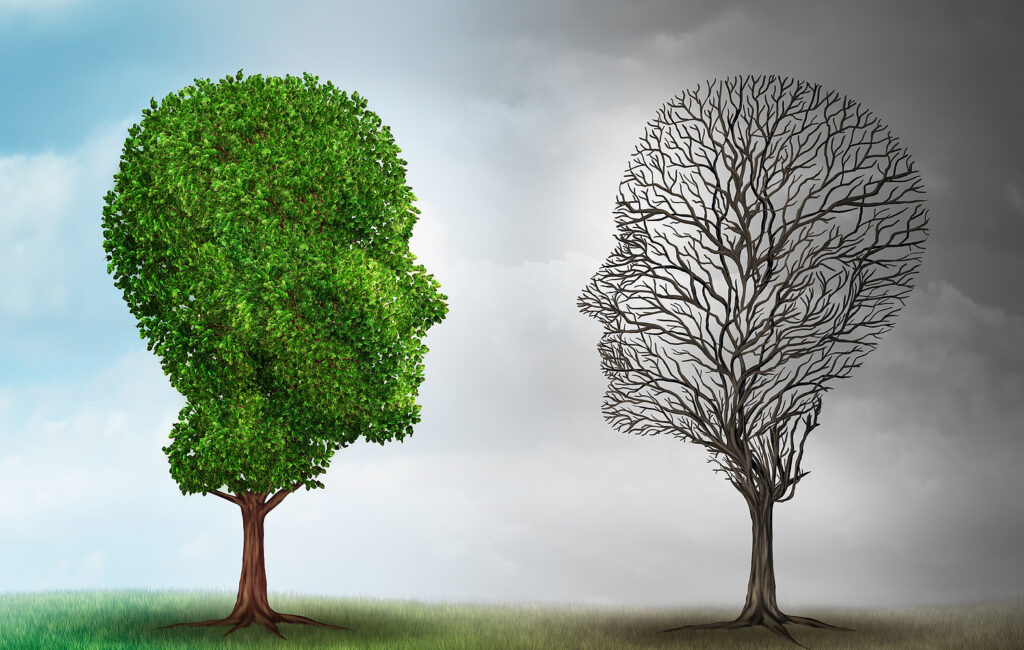 Different-patients-different-outcomes Two trees, one living and one dead facing each other