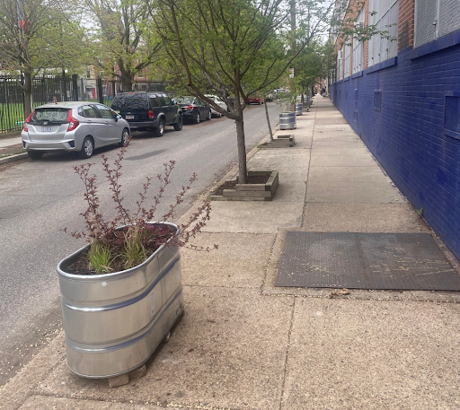 Planter boxes spaced out on the sidewalk