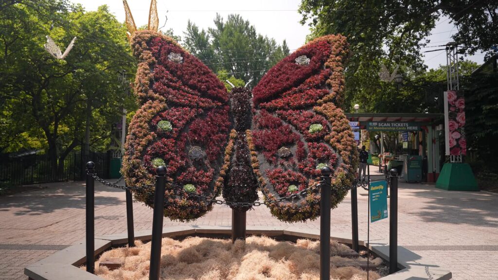YOK – ZootopiariesFF Sculpture of a butterfly