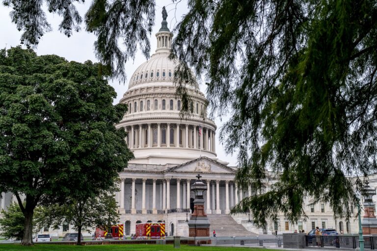 The U.S. Capitol Building