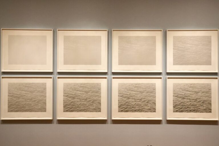 Vija Celmins' 