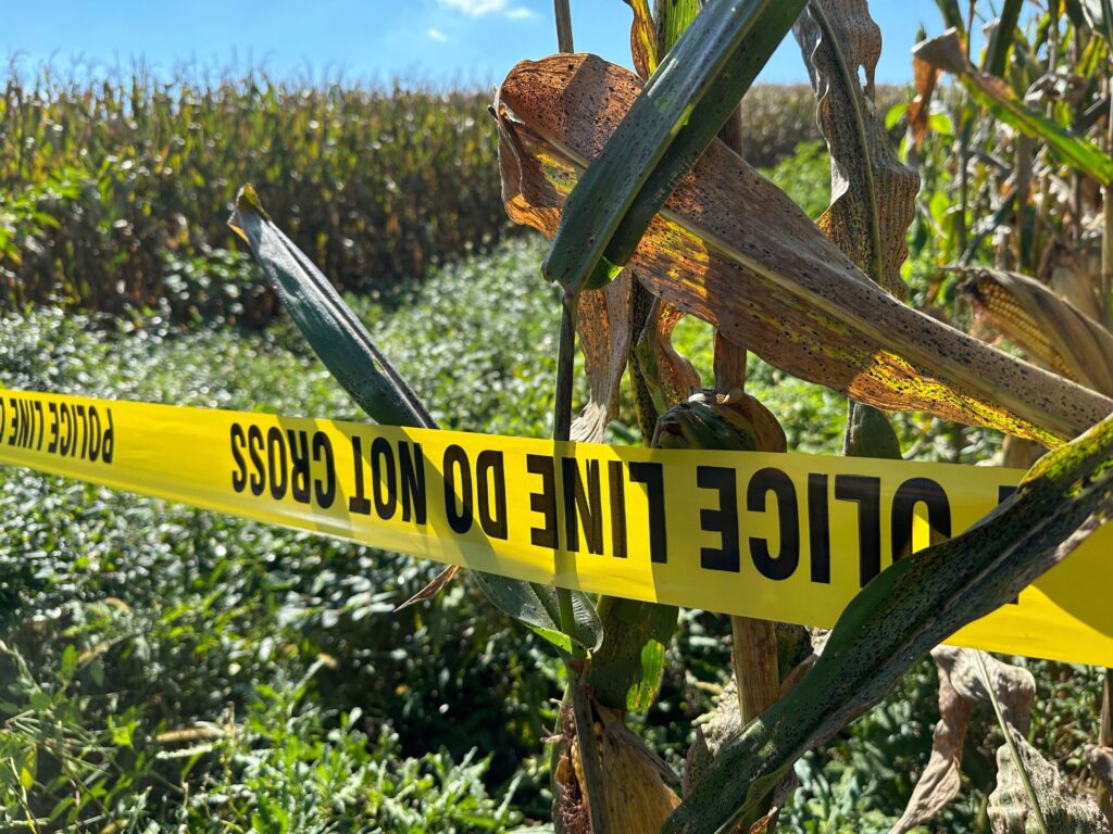 york-county-shooting-police-tape-2025-09-18 Police tape blocks a section of a cornfield