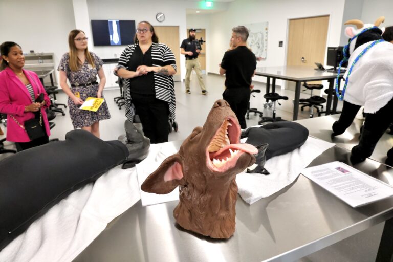 the clinical skills lab at the Shreiber School of Veterinary Medicine