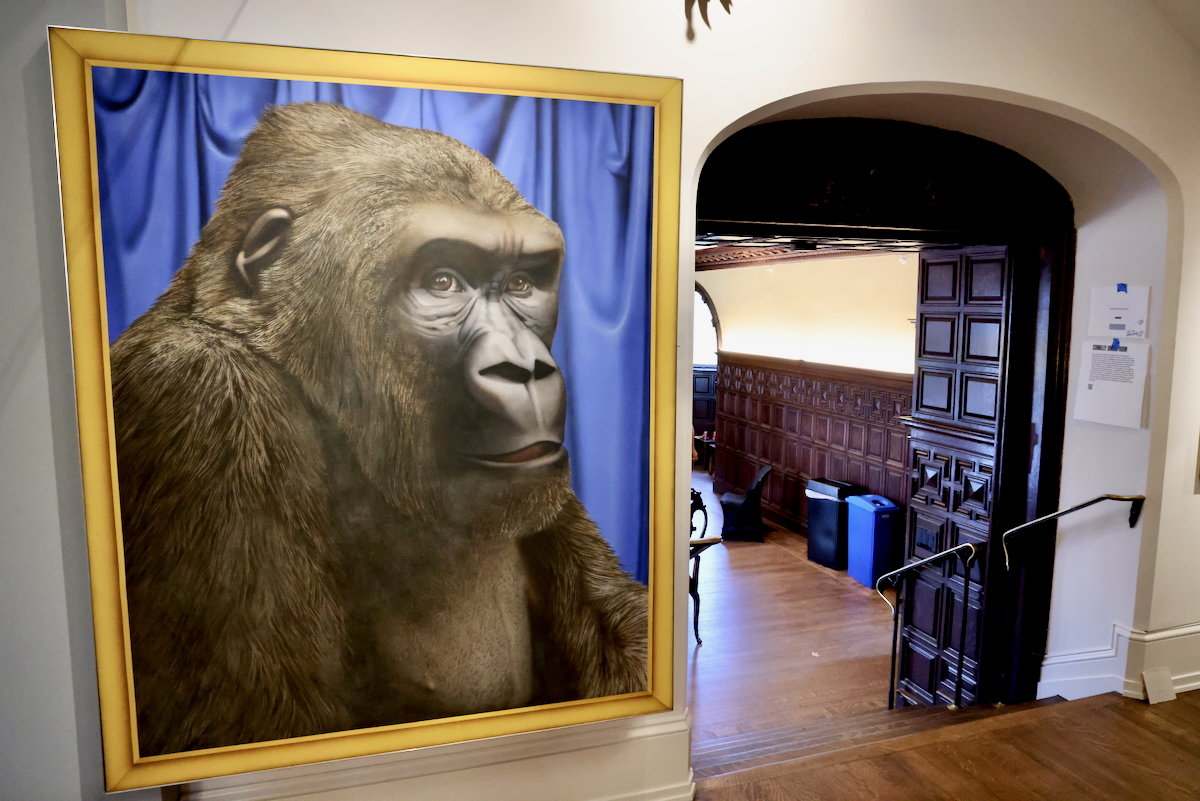 a painting of a gorilla in Maguire Hall