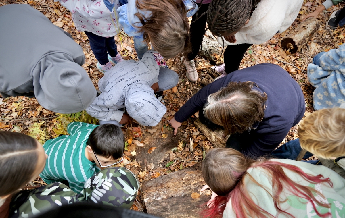 Keystone Elementary students and Beth Clark huddle around salamander