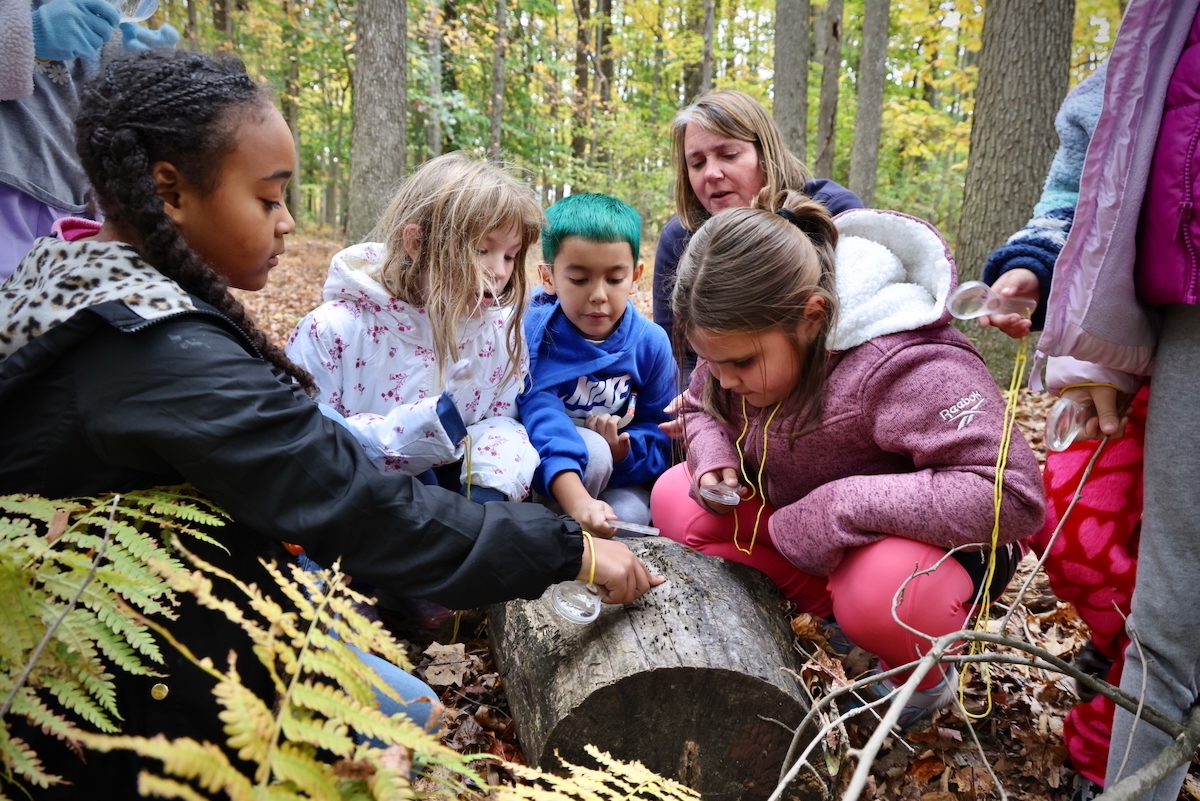 Students investigate the surface of a log