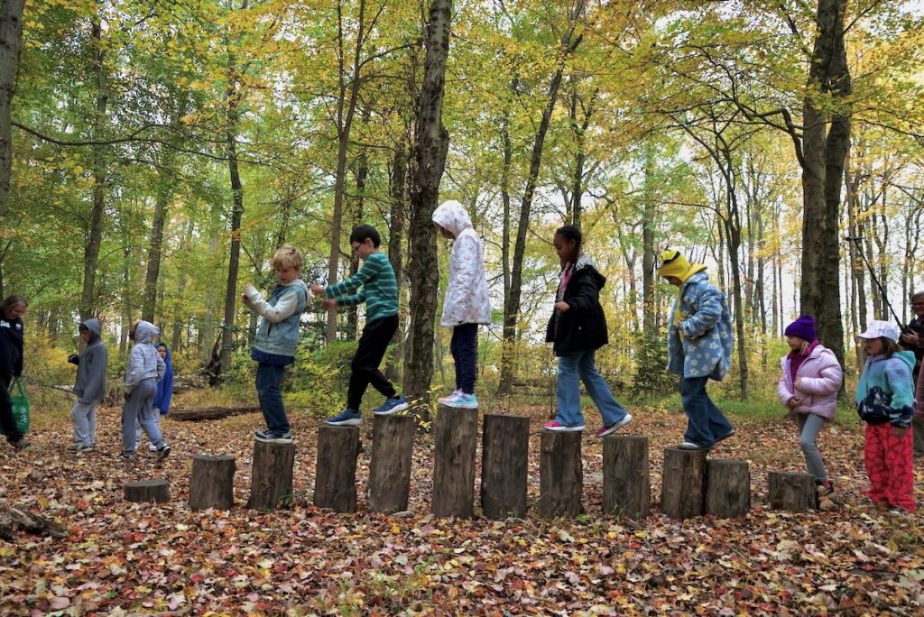 Students cross bridge of wooden stumps