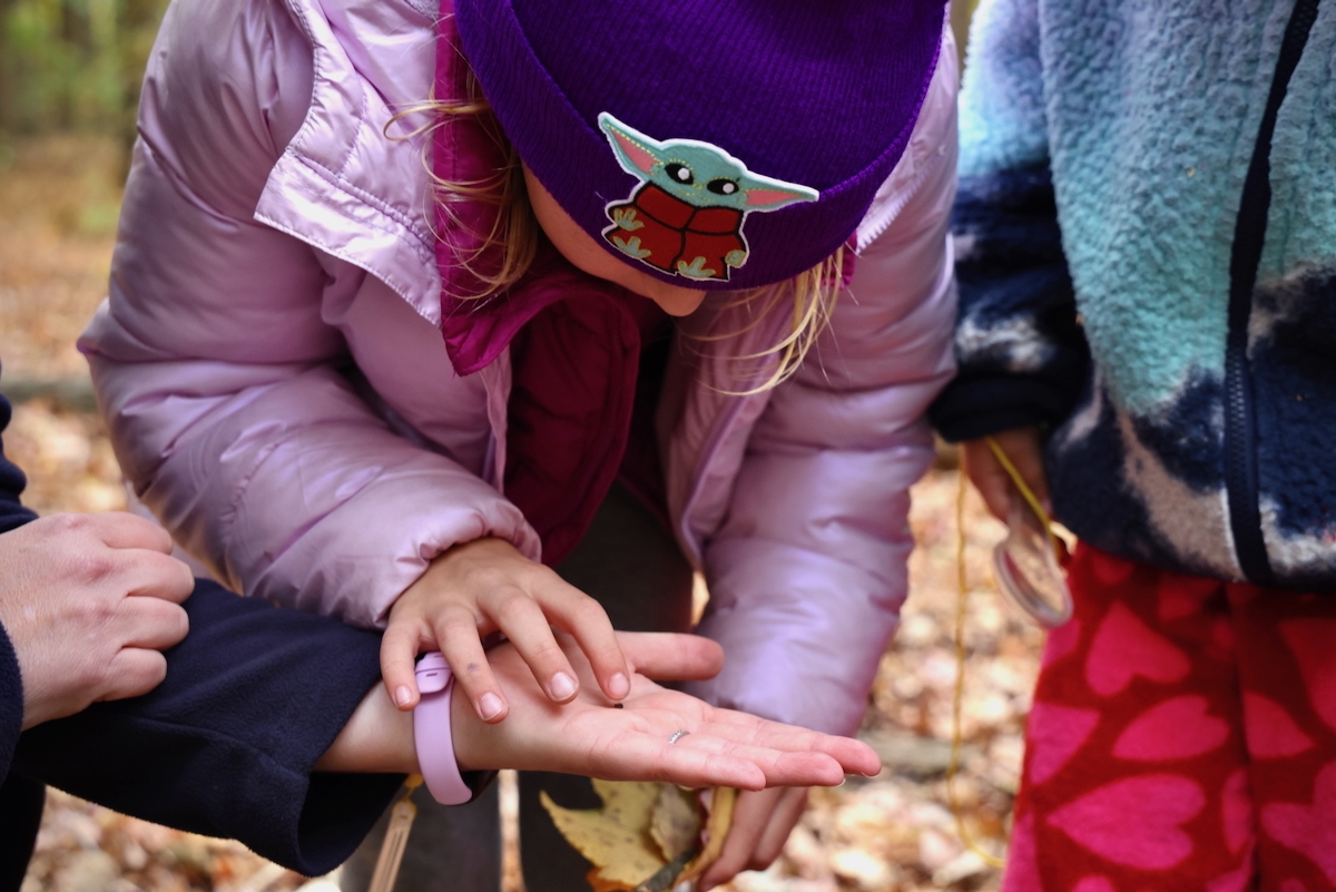 Maeve McDermot gently touches a tiny snail held by Beth Clark.