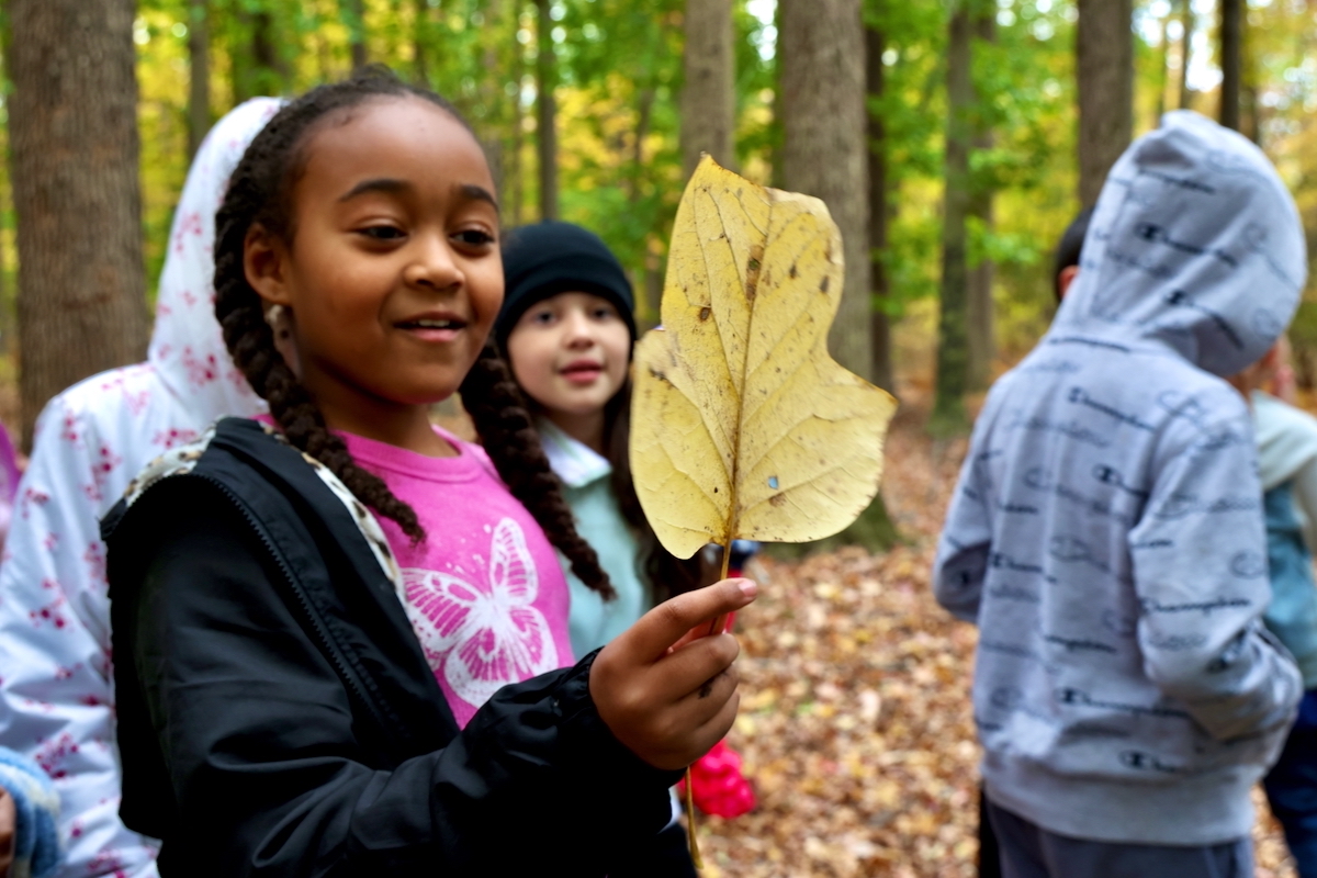 Nivaeh Rivera admires a leaf she discovered in the Croydon Woods